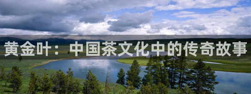 龙八国际娱乐在线游戏