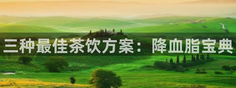 龙八国际娱 乐