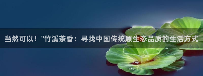 龙八国际头号玩家