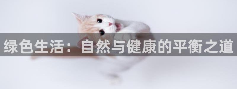 龙八国际网址