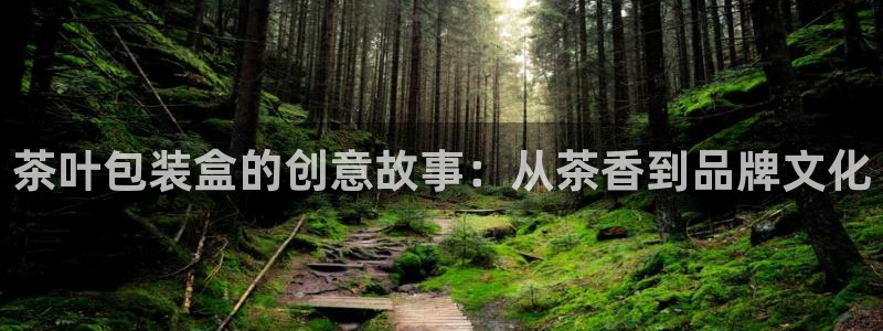 龙八国际app客户端下载苹果