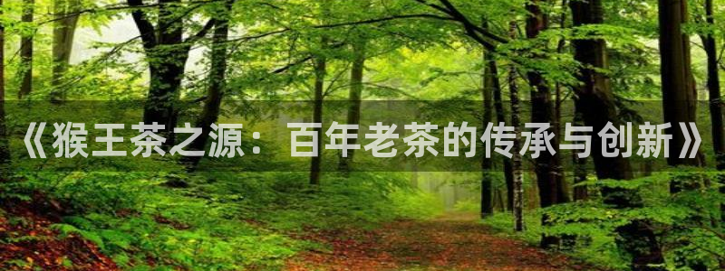 龙八国际pt