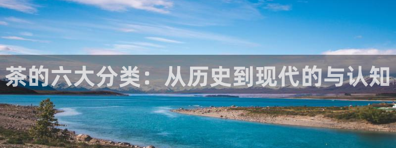 龙八国际app安卓