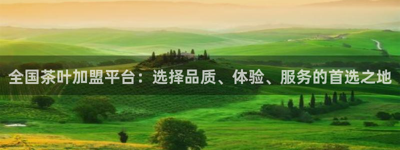 龙八国际入口