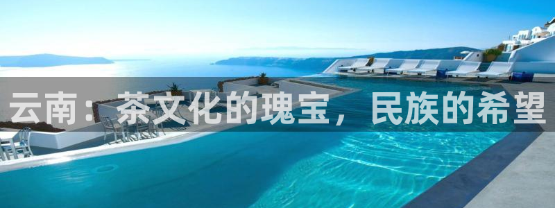 龙八国际官方网