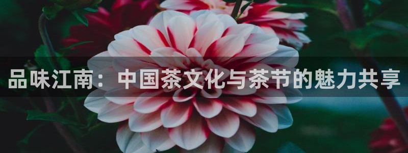 龙八国际zbzszx.com