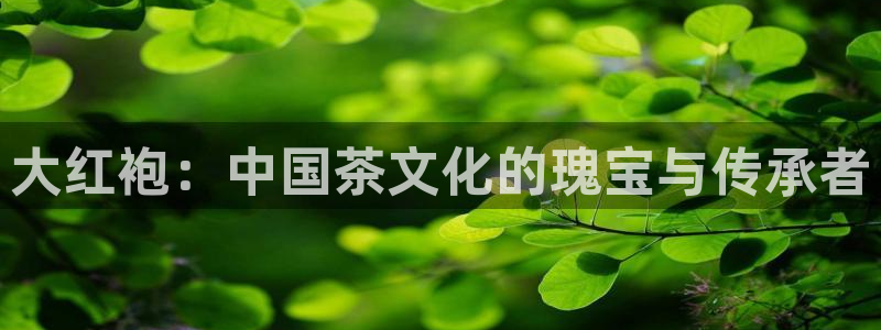龙八国际娱乐官方网址