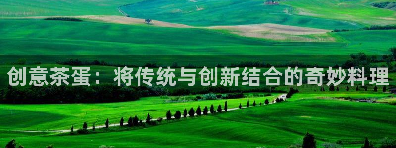龙八国际刘佳烨