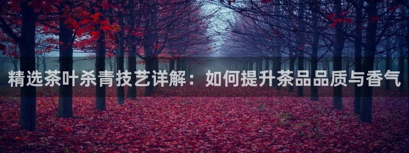 龙八国际交响乐