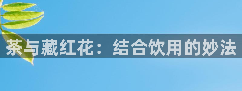 龙八国际安全