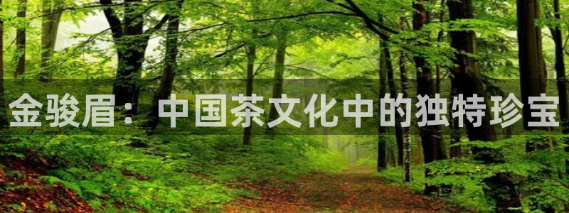 龙八国际App下载地址