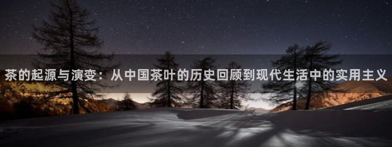 龙八国际2023
