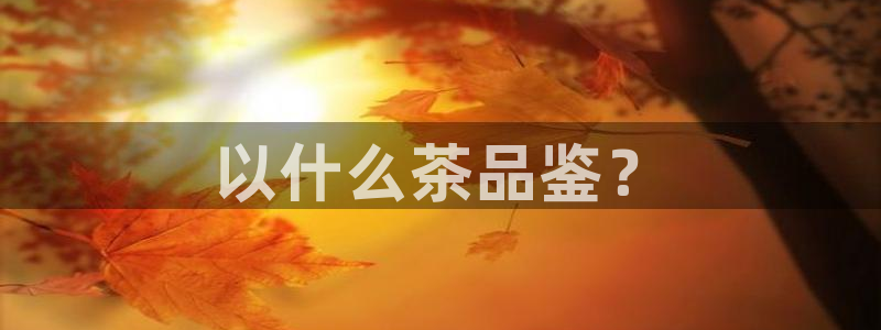 龙八国际下载链接一