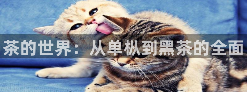 龙八国际交响乐