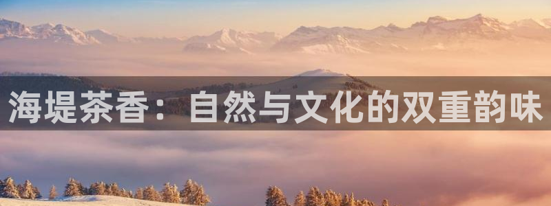 龙八国际娱乐官网多少