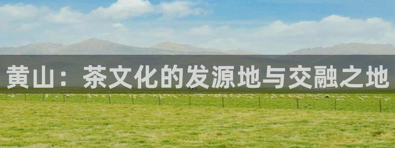龙八国际l8520