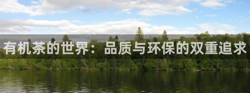 龙八国际手机客户端