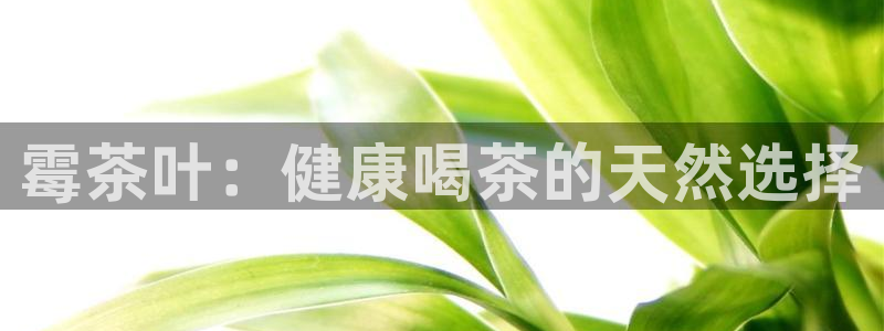 龙八国际