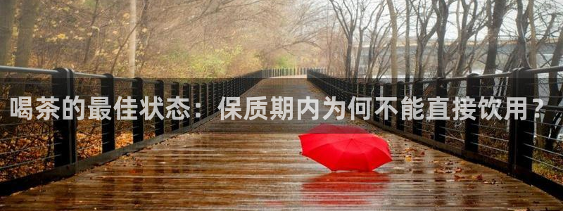 龙八国际手机版