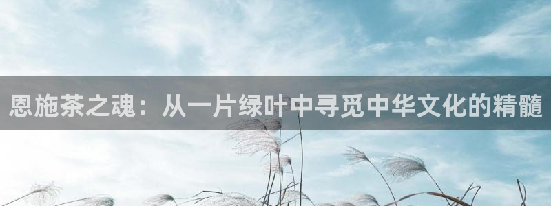 龙八国际游戏娱乐