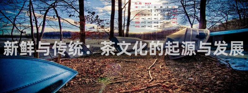 龙八国际手机版官方版app下载