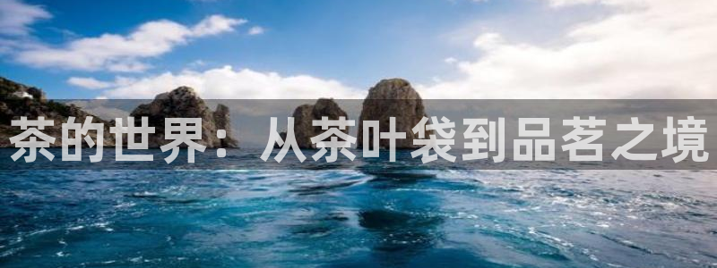 www.龙八国际