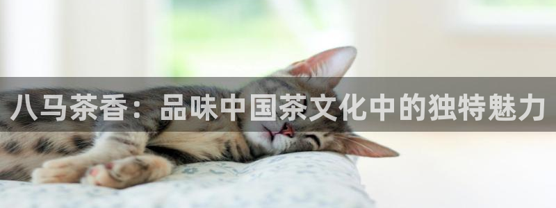龙八国际赌场