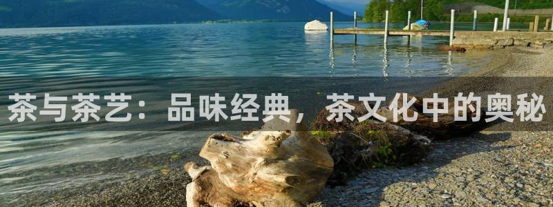 龙八国际网页版