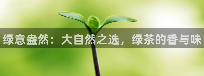 龙八国际更新