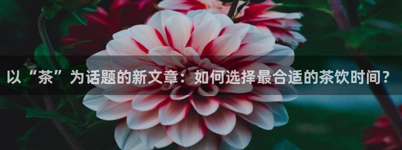 龙八国际官方网