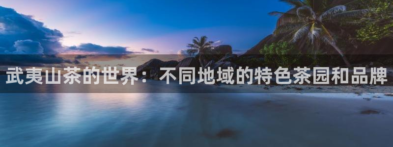 龙八国际app骗局