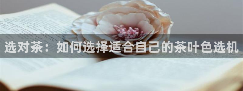 龙八国际图片