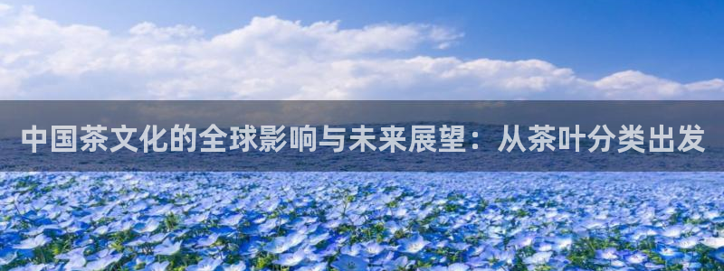 下载龙八国际手机版游戏
