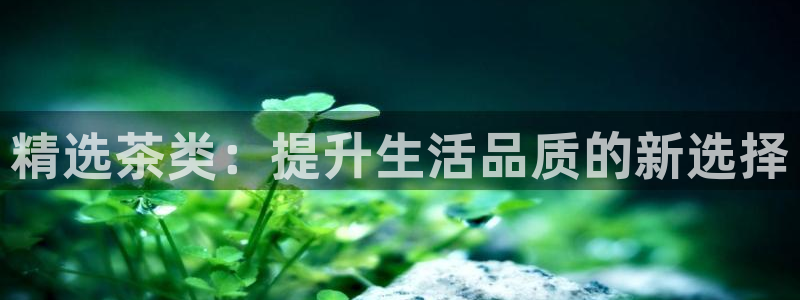 龙八国际app下载安装