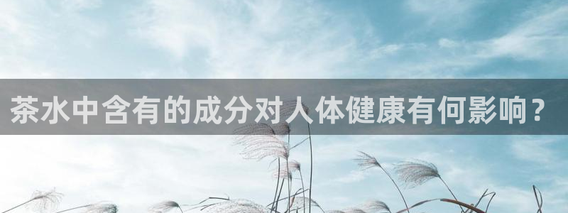 龙八国际代理app