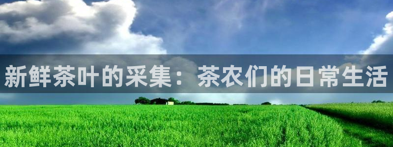 龙八国际电子游戏