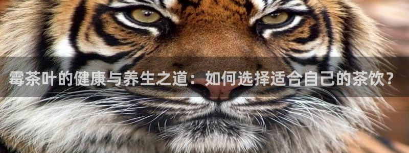 龙八国际老虎机
