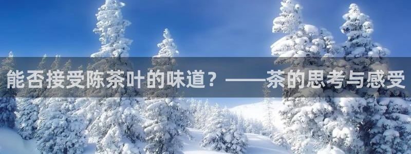 龙八国际是什么