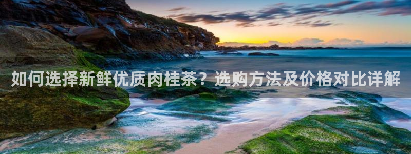 龙八国际官方旗舰店