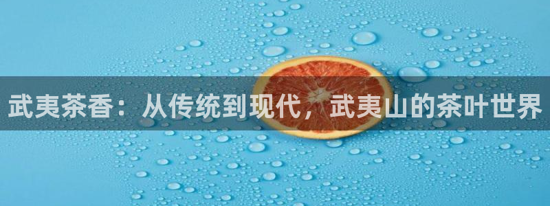龙八国际 官网