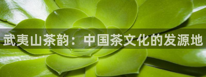 龙八国际是个什么游戏
