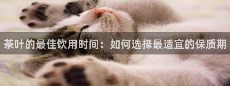 龙八国际手机版下载安卓