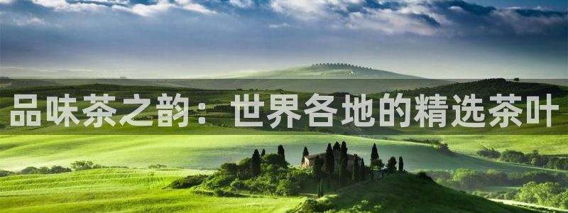龙八国际赌场