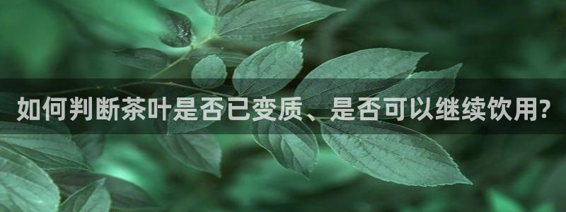 龙八国际pt客户端下载
