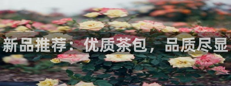 龙八国际什么诈骗