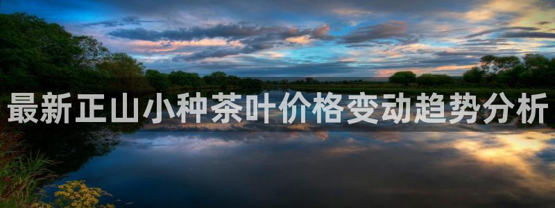 龙八国际登