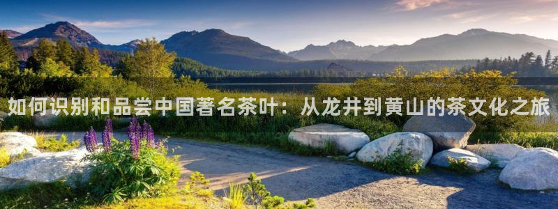 龙八国际娱乐正版