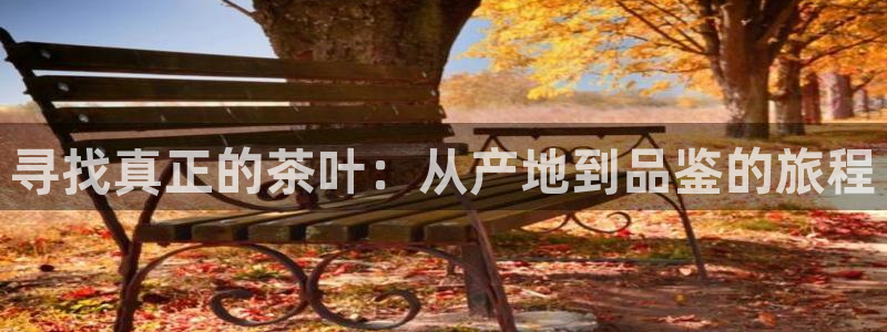 龙八国际公司是真是假