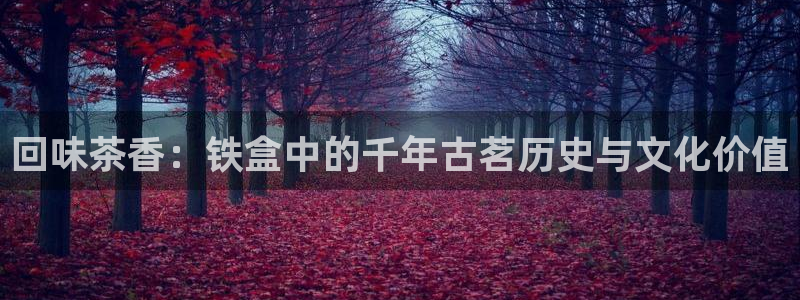 龙八国际改名