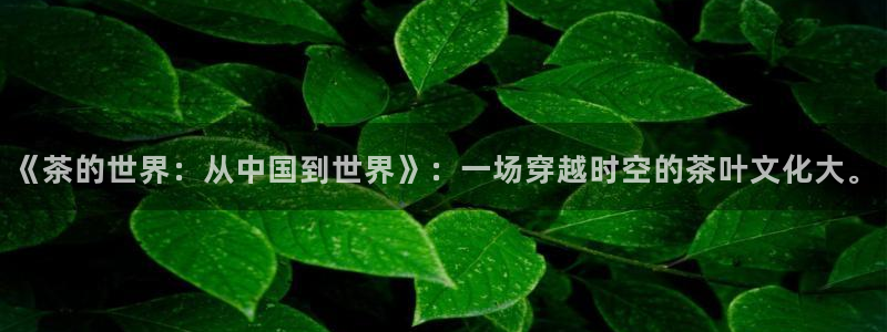 龙八国际娱乐dt 和老虎机